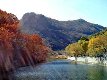 新澳门期期准精准，莱芜地震